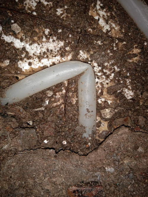 正安堵点精准查找